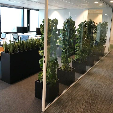 plantenbakken kantoor door klusbedrijf van kester